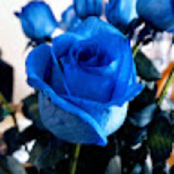 Meet your Posher, Amy - Picture 1 of 1